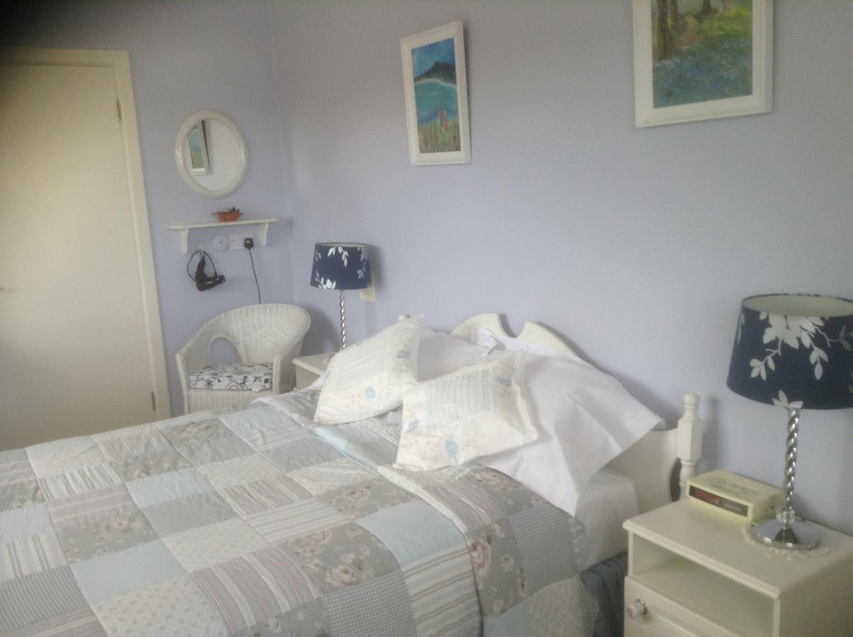 Chaplins Townhouse Bed and Breakfast Kilkenny Buitenkant foto