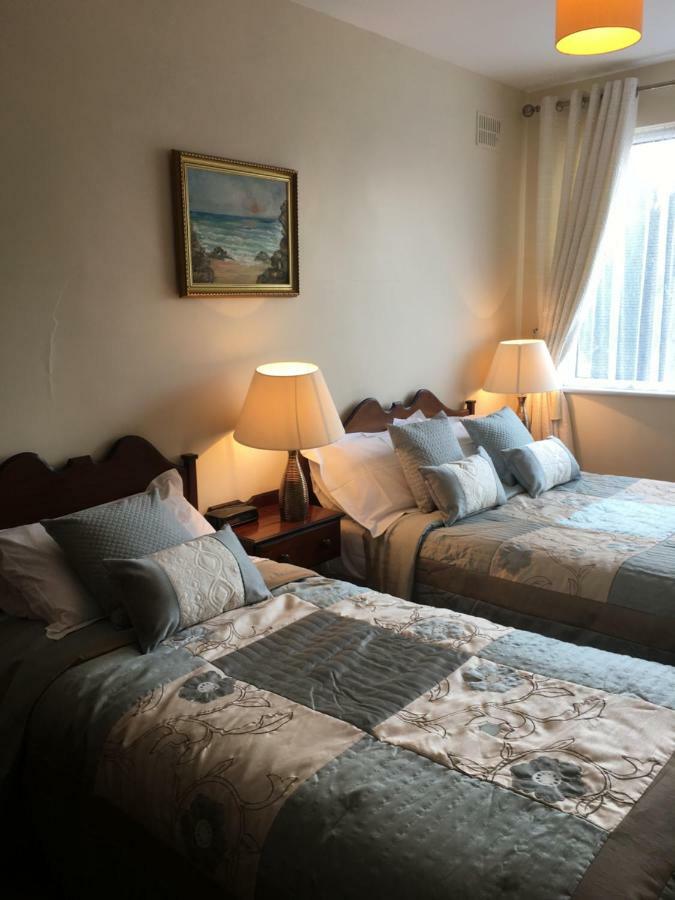 Chaplins Townhouse Bed and Breakfast Kilkenny Buitenkant foto